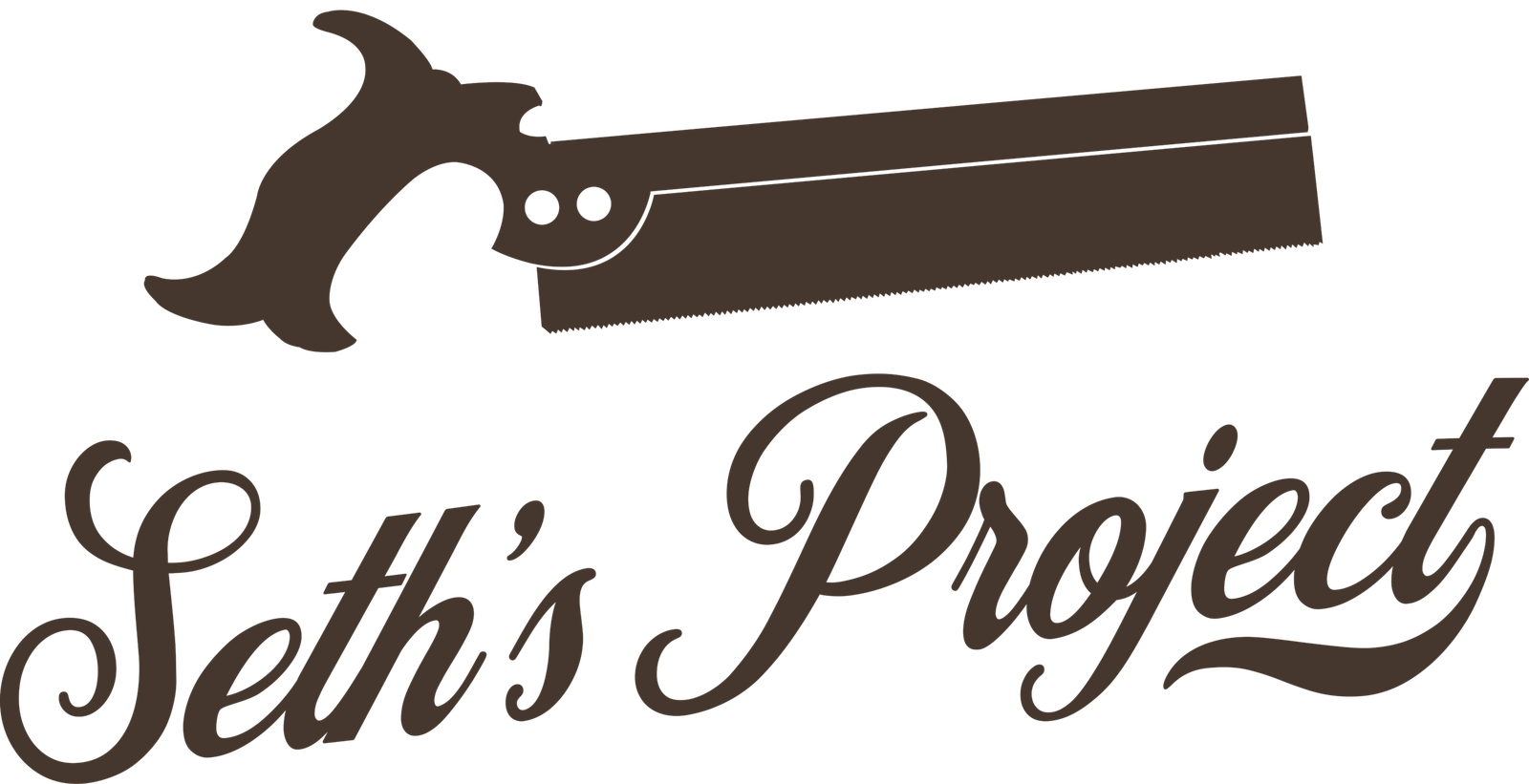 sethsproject.com